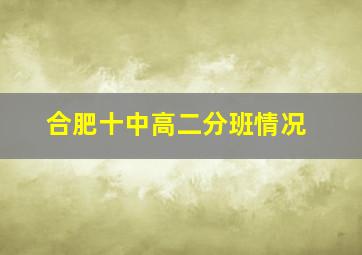 合肥十中高二分班情况