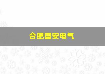 合肥国安电气