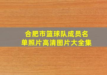 合肥市篮球队成员名单照片高清图片大全集