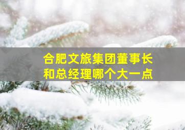 合肥文旅集团董事长和总经理哪个大一点