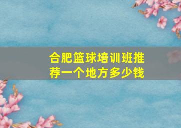 合肥篮球培训班推荐一个地方多少钱