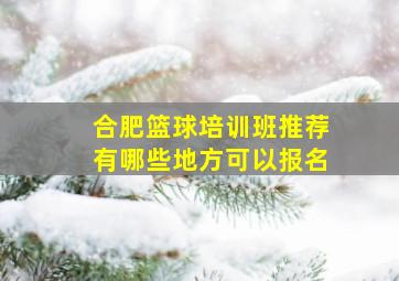 合肥篮球培训班推荐有哪些地方可以报名