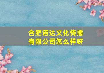 合肥诺达文化传播有限公司怎么样呀