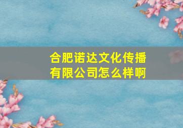 合肥诺达文化传播有限公司怎么样啊