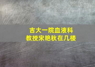 吉大一院血液科教授宋艳秋在几楼