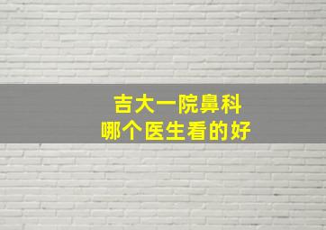 吉大一院鼻科哪个医生看的好