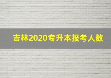 吉林2020专升本报考人数