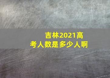 吉林2021高考人数是多少人啊