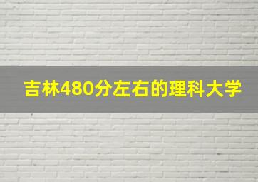 吉林480分左右的理科大学