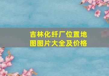 吉林化纤厂位置地图图片大全及价格