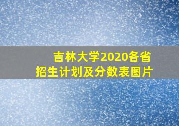 吉林大学2020各省招生计划及分数表图片