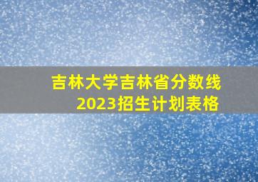 吉林大学吉林省分数线2023招生计划表格