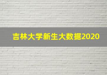 吉林大学新生大数据2020