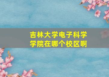 吉林大学电子科学学院在哪个校区啊