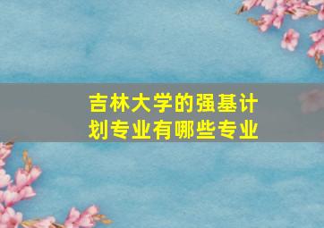 吉林大学的强基计划专业有哪些专业