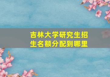 吉林大学研究生招生名额分配到哪里