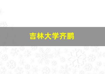 吉林大学齐鹏