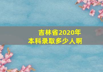 吉林省2020年本科录取多少人啊