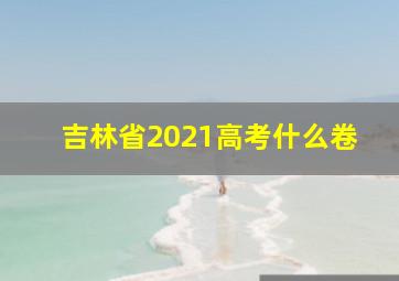 吉林省2021高考什么卷