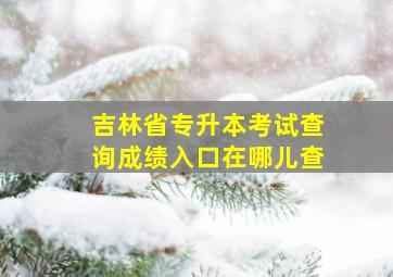 吉林省专升本考试查询成绩入口在哪儿查