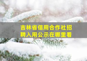 吉林省信用合作社招聘入用公示在哪里看