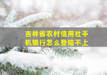 吉林省农村信用社手机银行怎么登陆不上