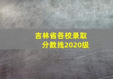 吉林省各校录取分数线2020级