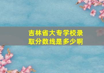 吉林省大专学校录取分数线是多少啊