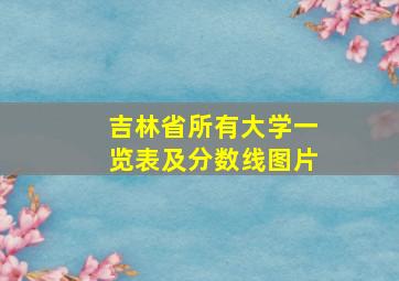 吉林省所有大学一览表及分数线图片