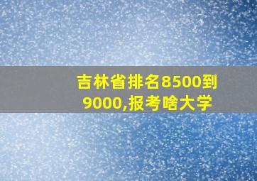 吉林省排名8500到9000,报考啥大学