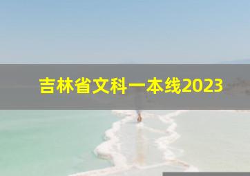 吉林省文科一本线2023