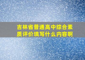 吉林省普通高中综合素质评价填写什么内容啊