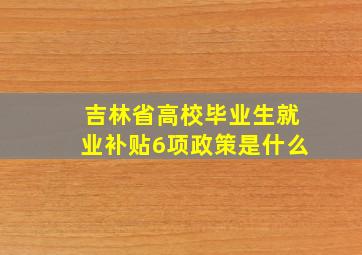 吉林省高校毕业生就业补贴6项政策是什么