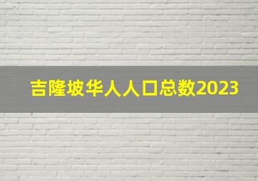 吉隆坡华人人口总数2023