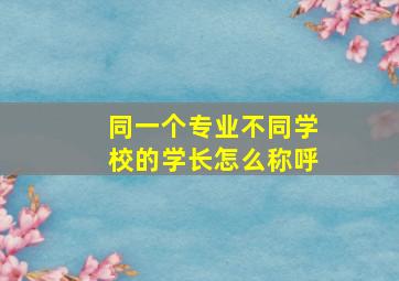 同一个专业不同学校的学长怎么称呼