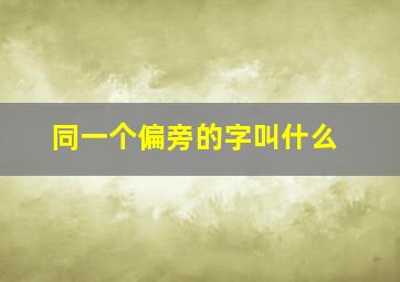 同一个偏旁的字叫什么