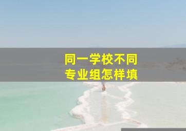 同一学校不同专业组怎样填