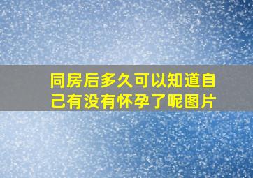 同房后多久可以知道自己有没有怀孕了呢图片