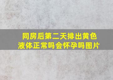 同房后第二天排出黄色液体正常吗会怀孕吗图片