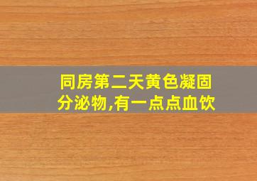 同房第二天黄色凝固分泌物,有一点点血饮