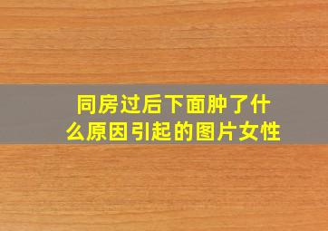 同房过后下面肿了什么原因引起的图片女性