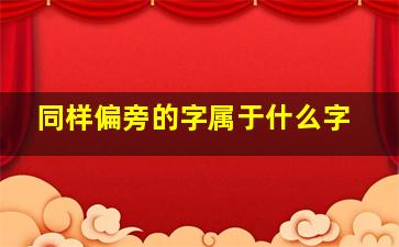 同样偏旁的字属于什么字