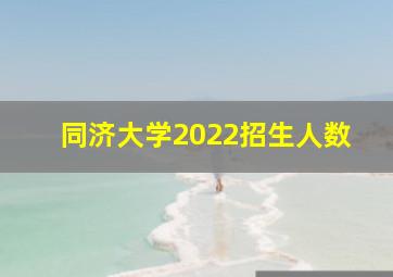 同济大学2022招生人数