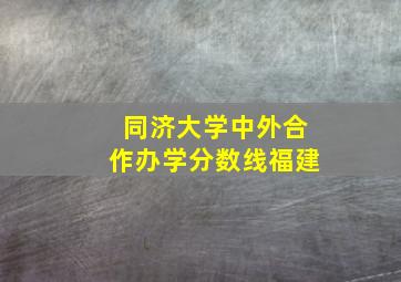 同济大学中外合作办学分数线福建