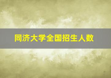 同济大学全国招生人数