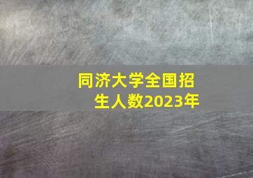 同济大学全国招生人数2023年