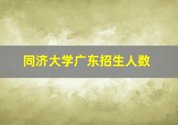 同济大学广东招生人数