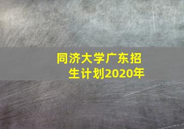 同济大学广东招生计划2020年