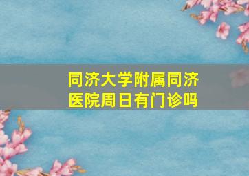 同济大学附属同济医院周日有门诊吗