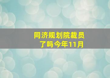 同济规划院裁员了吗今年11月